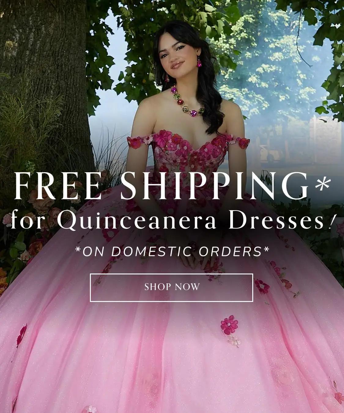 Free shipping banner mobile image
