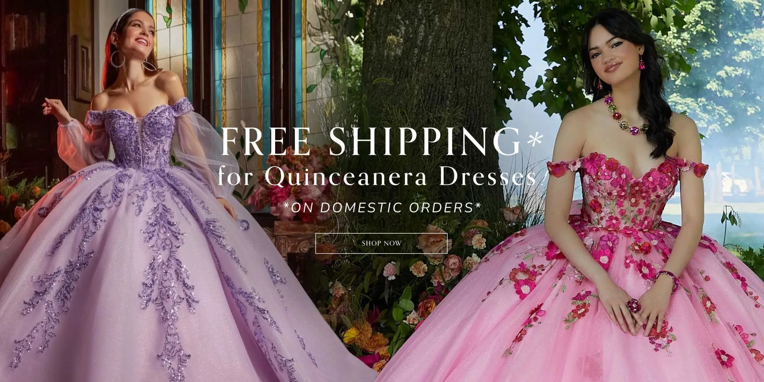 Free shipping banner desktop image